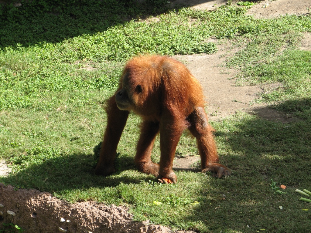 20100206 483.JPG